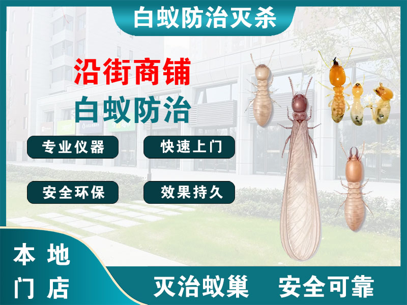 上虞沿街商铺白蚁防治