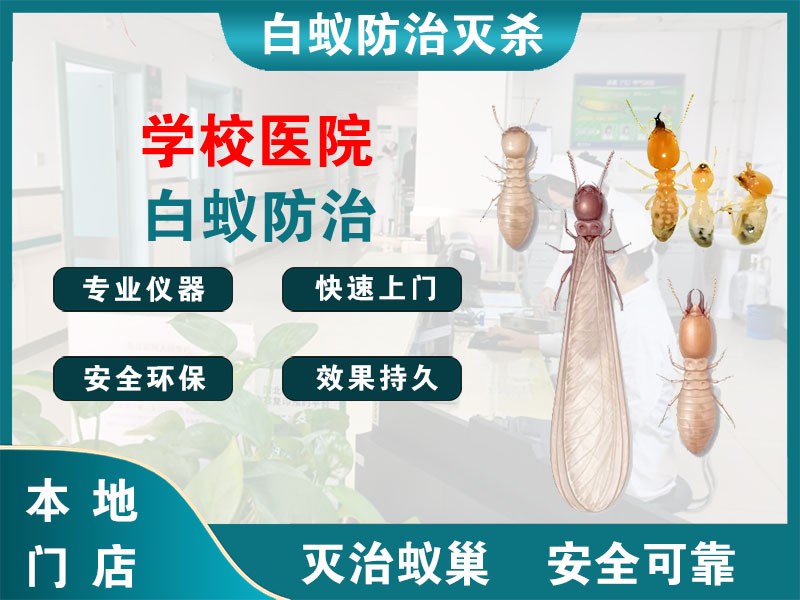 上虞学校医院白蚁防治