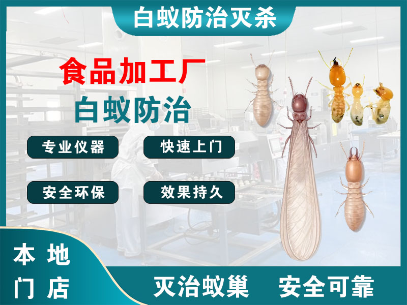 上虞食品加工厂白蚁防治