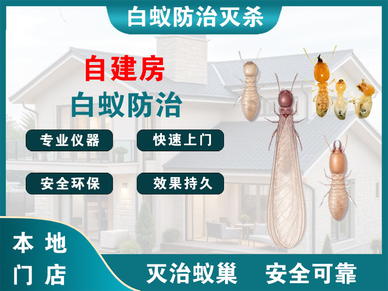 上虞自建房白蚁防治