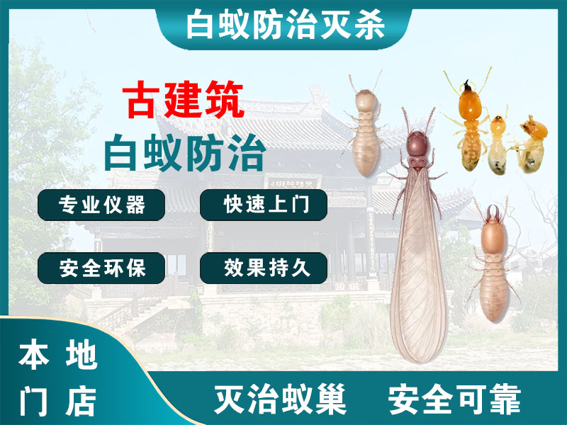 上虞古建筑白蚁防治