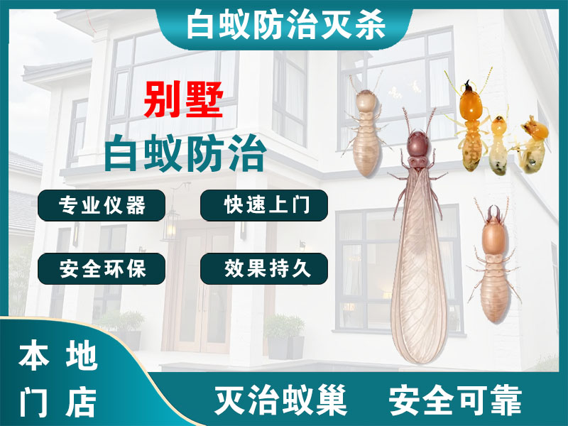 上虞别墅白蚁防治