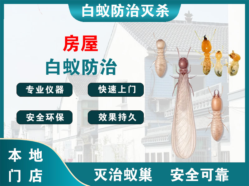 上虞房屋白蚁防治